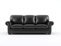 Canapé droit - Cuir - 216 x 96 x 91 cm - Noir - Classique