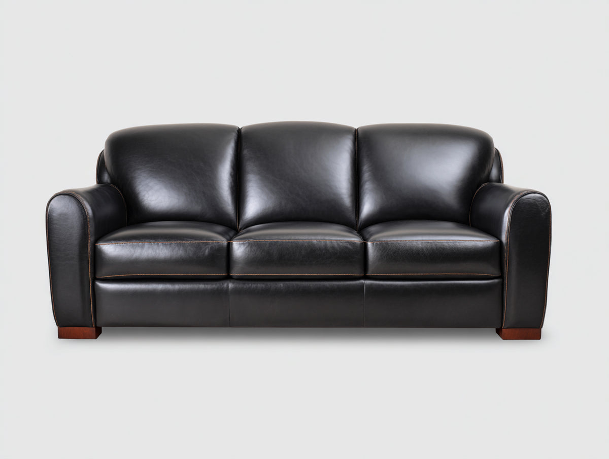 Canapé droit - Cuir synthétique - 221 x 96 x 87 cm - Noir - Style contemporain